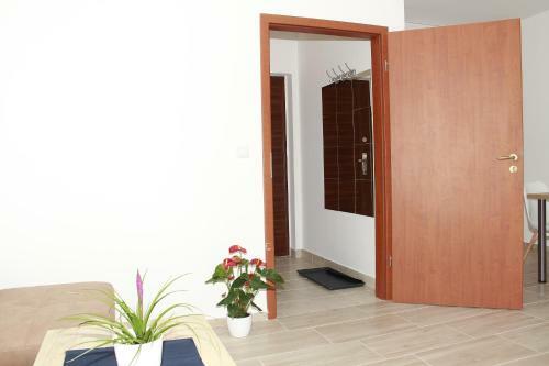 Vadvir�g Apartman