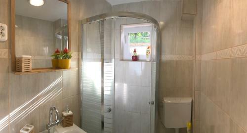 Orchidea Vend�gh�z - Zebeg�ny