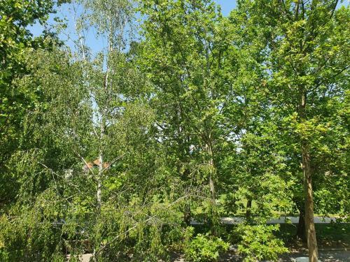 Sunshine Resort Turquoise Apartman