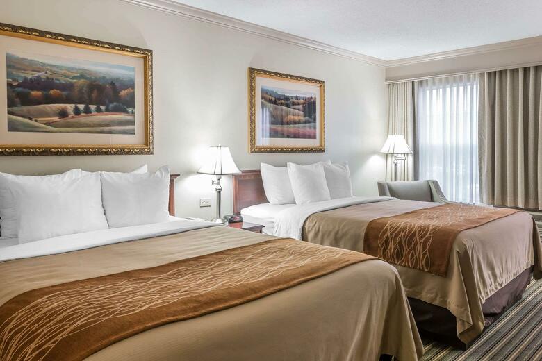 Hotel Comfort Inn Plainwell