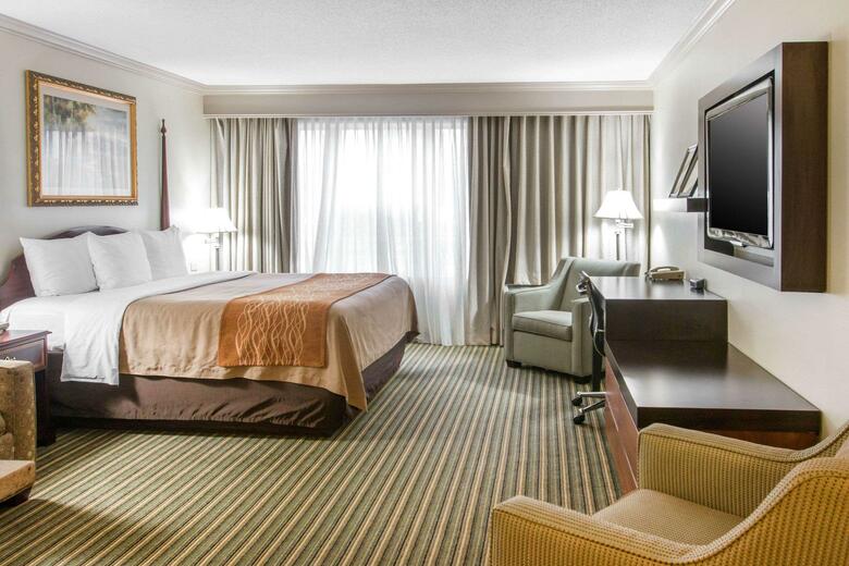 Hotel Comfort Inn Plainwell