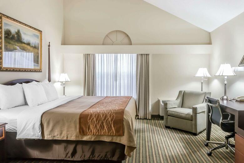 Hotel Comfort Inn Plainwell