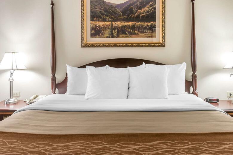Hotel Comfort Inn Plainwell