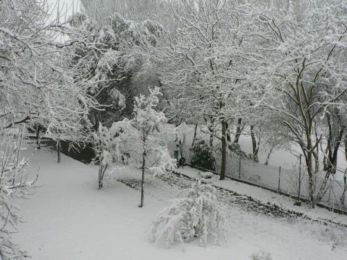 Bed & Breakfast La Quercia E Il Gelso