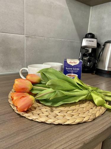 Aqualita Apartman Zalakaros