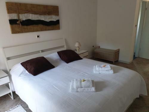Hostal Rooms And Apartments V&m
