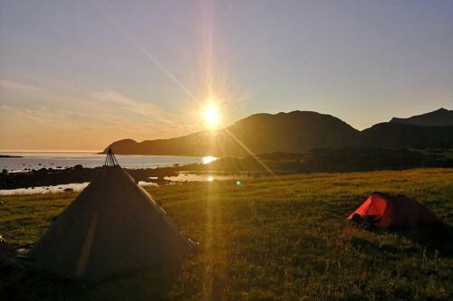 Koselig Hus Rett Ovenfor Kaikanten Midt I Lofoten