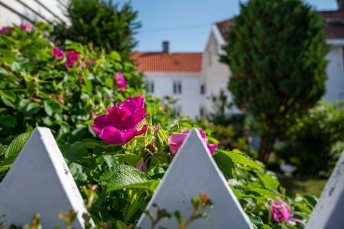 Apartamento Idylliske Skudeneshavn