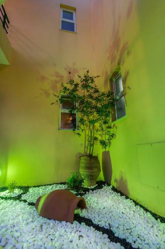 Aparthotel Alonia Hotel Apartments