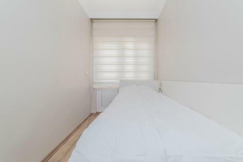 Fresh Apartment In Authentic Neighborhood