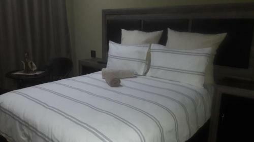 Albergue Authentic Bicycle Tours And Backpackers