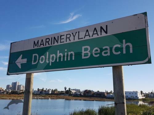 Dolphin Beach Apartment