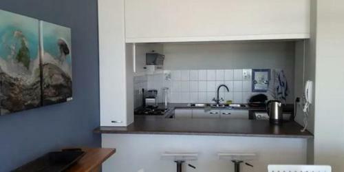 Dolphin Beach Apartment