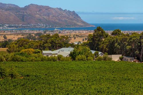 Vineyard Manor At 13 Vines