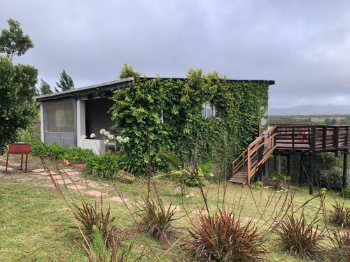 Rainforest Ridge Eco Lodge