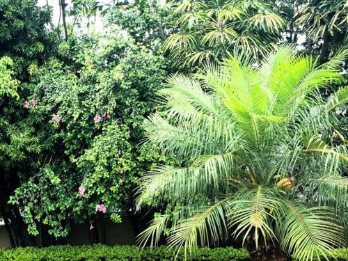 Apartamento Eagle Road Holiday Home