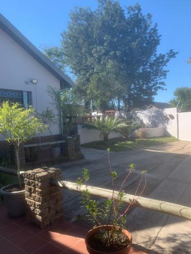 Bed & Breakfast Cycad Stay