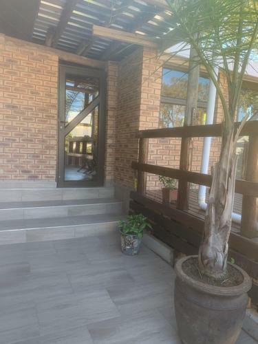 Bed & Breakfast Cycad Stay