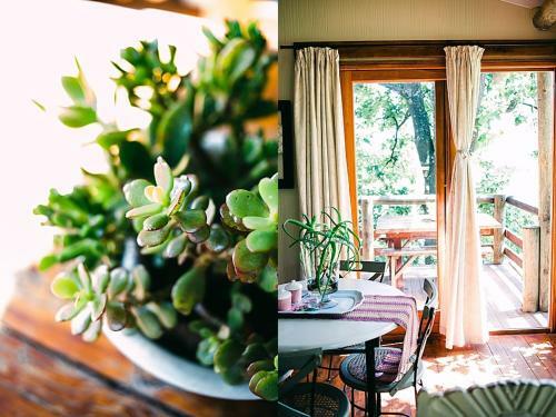 Apartamento Mont Rouge Cottage