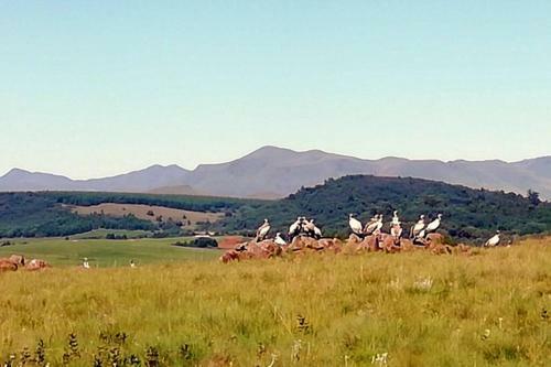 Apartamento Hamstead Farm Eco And Pet-friendly Cottage