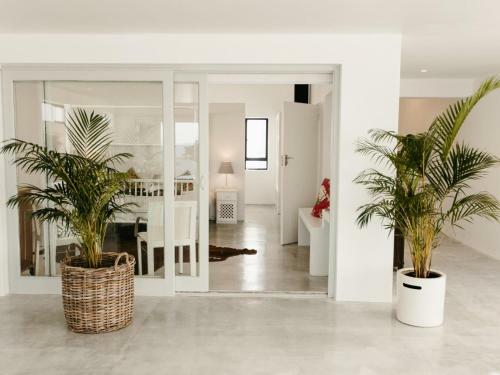 Apartamento Surfstar At Mimosa