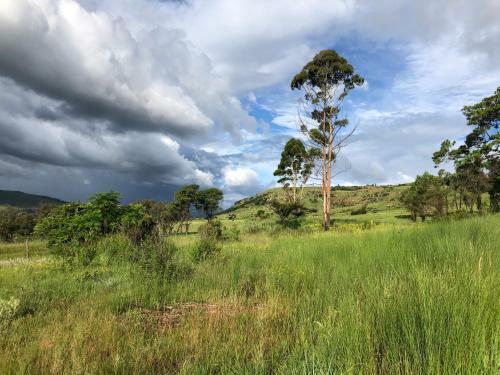 Lodge Tegwaan Country Getaway