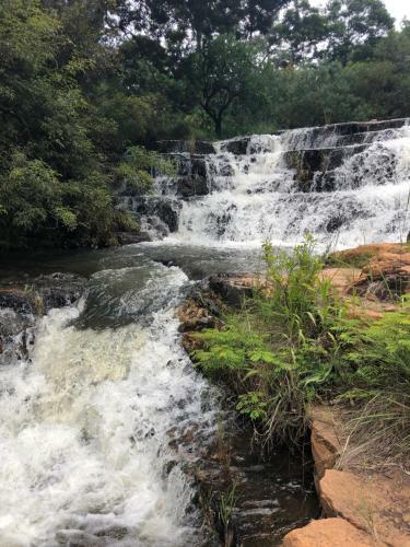 Lodge Tegwaan Country Getaway