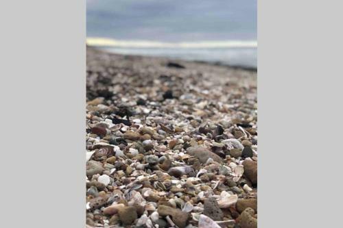 Roes In Vrede - Rust In Peace