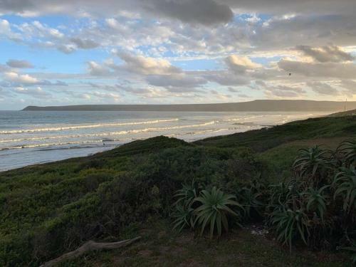 Baby Whale Bliss - Beachfront House