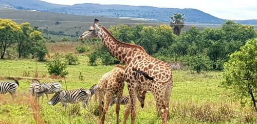 Riverview Bush Escape Muldersdrift