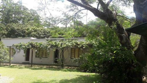 Hostal Wild Fig Guesthouse