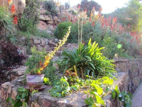 Hostal Floracliffe Guesthouse & Events