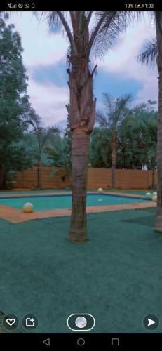 Hostal Ishoba Retreat