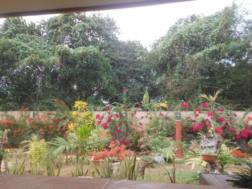Hostal Jungle Flower Guest House