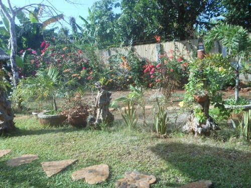 Hostal Jungle Flower Guest House