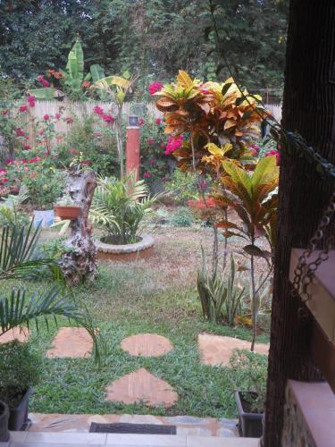 Hostal Jungle Flower Guest House