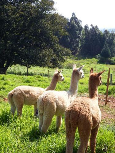 Agroturismo Crossroads Meander