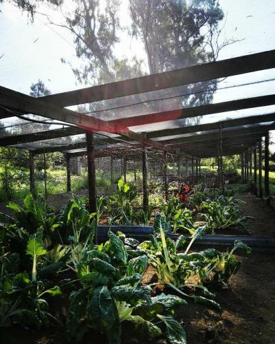 Agroturismo Crossroads Meander