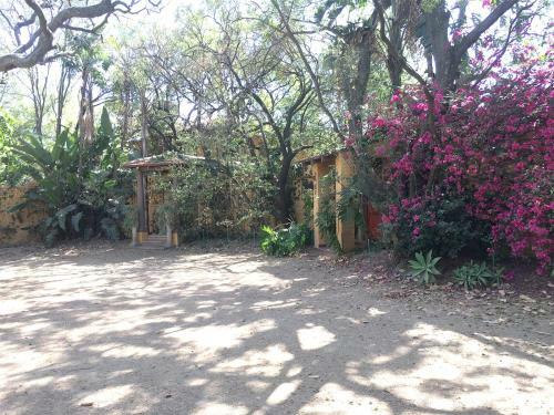 Bed & Breakfast Roosters Nest Bnb