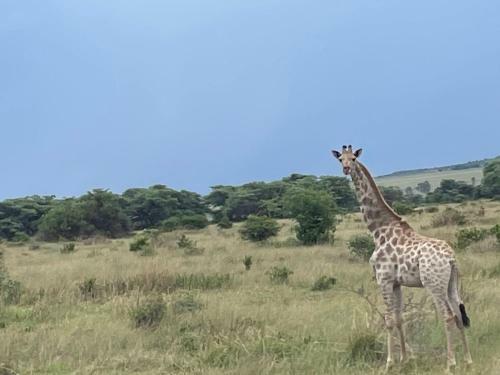 Lodge Moletani Game Ranch