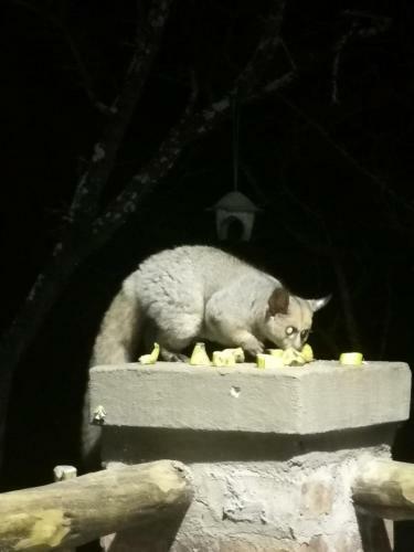 Apartamento Kruger Kayalakho