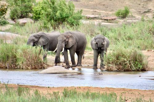 Jackals Dream - Self Catering Villa Bordering Kruger National Park