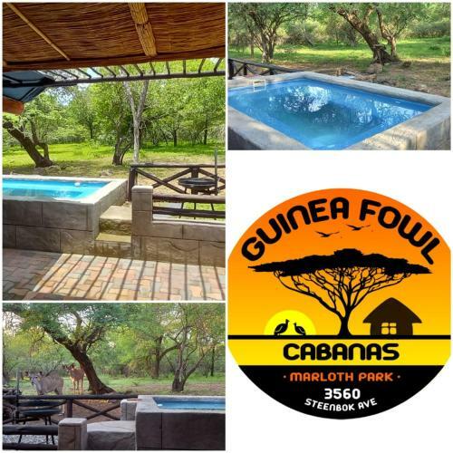 Guinea Fowl Cabanas Marloth Park