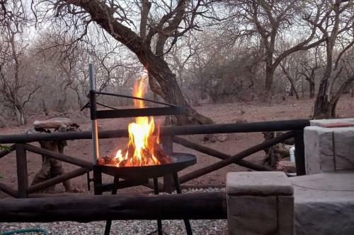 Guinea Fowl Cabanas Marloth Park