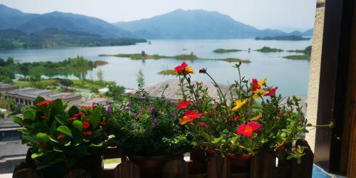 Apartamentos Water House Homestay