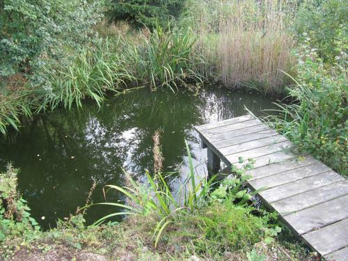 Natur Pur, Nah Am Schaalsee