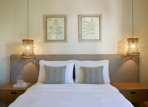 Hotel Vencia