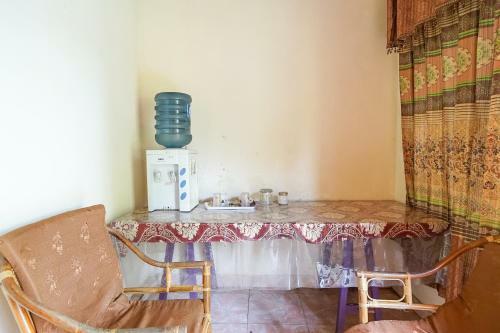 Hostal Mountain View Homestay