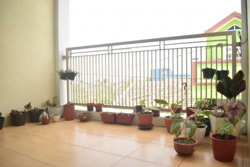 Sunshine Homestay