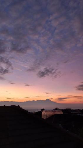 Sunshine Homestay
